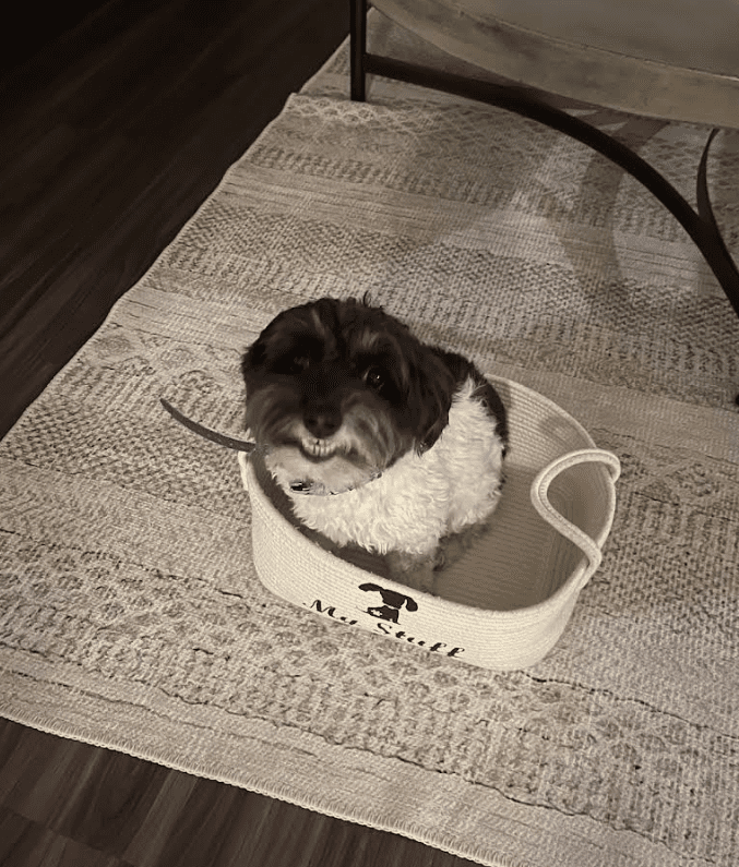 Screenshot 2025-10-24 195211