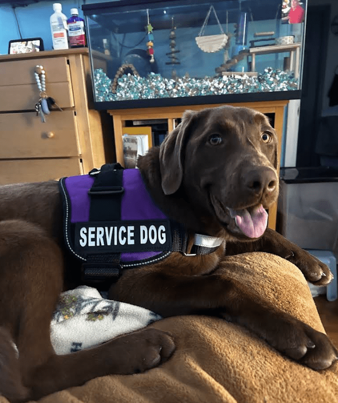 Screenshot 2025-10-24 195319