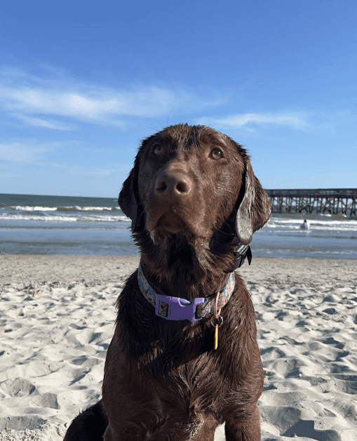 Screenshot 2025-10-24 195326