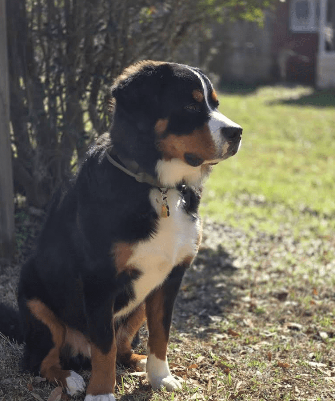 Screenshot 2025-10-24 195721