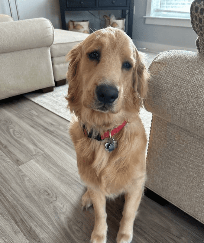 Screenshot 2025-10-24 195749