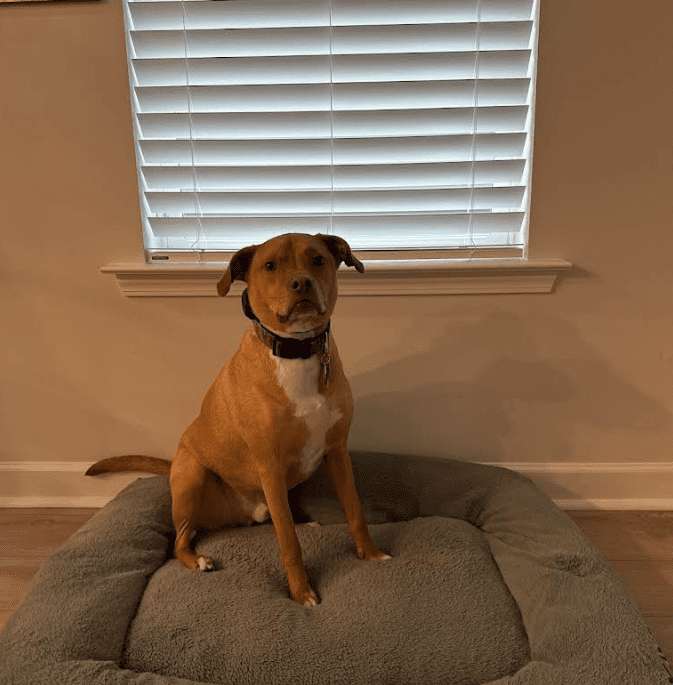 Screenshot 2025-10-24 195808