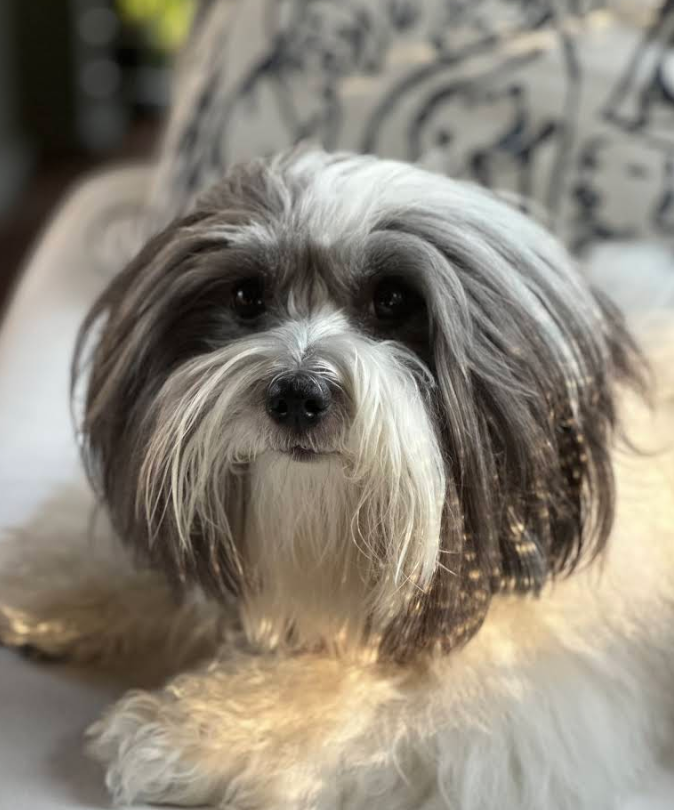 Screenshot 2025-10-24 195831