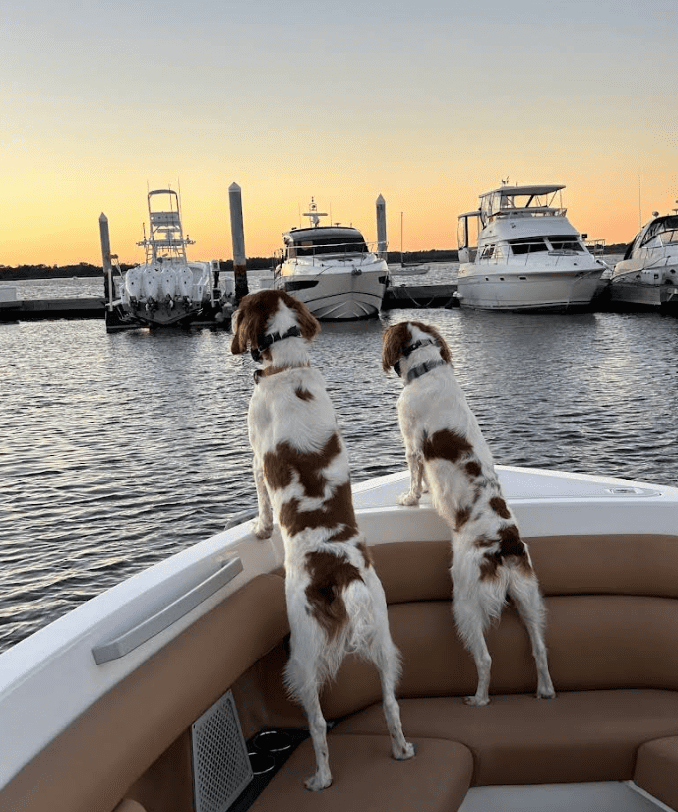 Screenshot 2025-10-24 195838