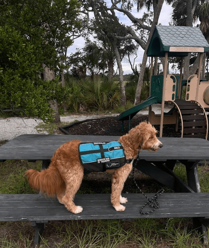 Screenshot 2025-10-24 195848