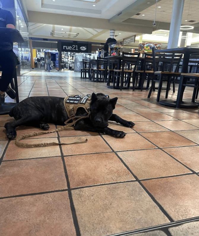 Screenshot 2025-10-24 195856